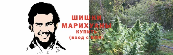 гашик Белокуриха