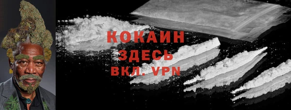 гашик Белокуриха