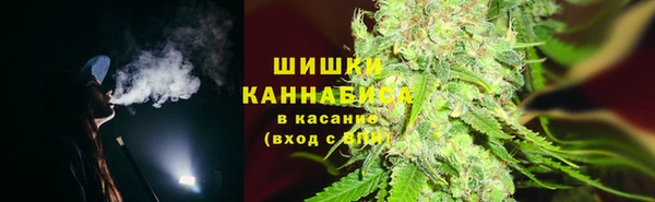 прущие крисы Беломорск