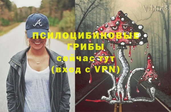 метадон Богородицк