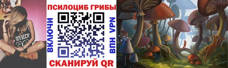 Псилоцибиновые грибы мицелий  как найти закладки  Щигры 